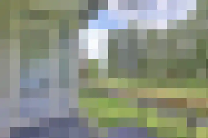 Staringplantsoen 13 A Spijkenisse thumbnail 12