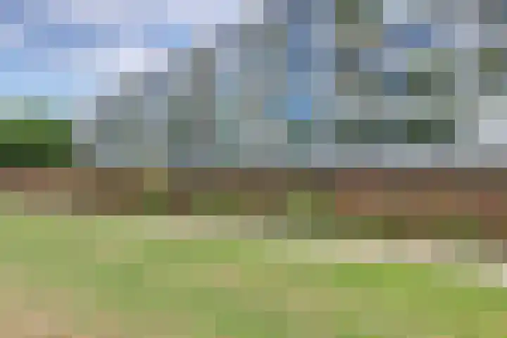 Staringplantsoen 13 A Spijkenisse thumbnail 30