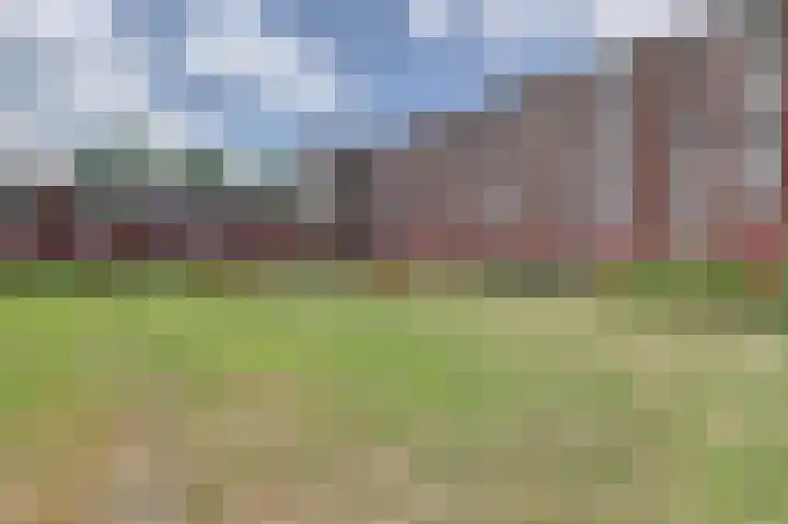 Staringplantsoen 13 A Spijkenisse thumbnail 31