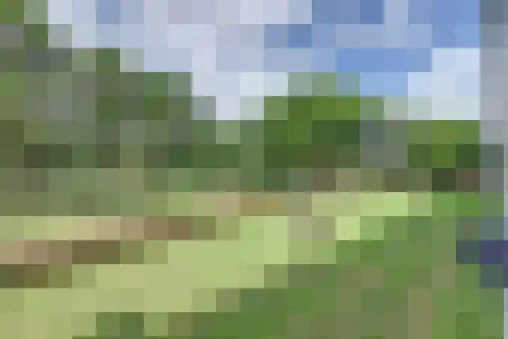 Staringplantsoen 13 A Spijkenisse thumbnail 34