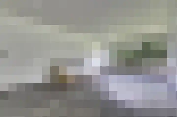 Staringplantsoen 13 A Spijkenisse thumbnail 9