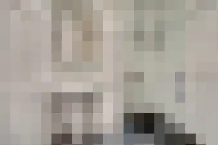 Staringplantsoen 15 C Spijkenisse thumbnail 22
