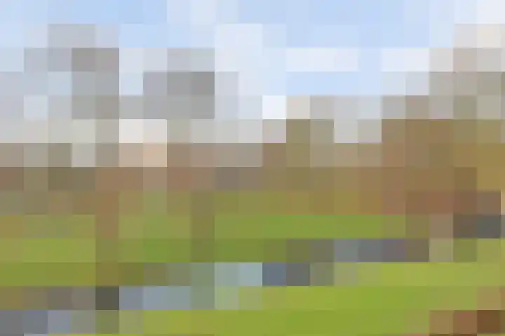 Staringplantsoen 15 C Spijkenisse thumbnail 25