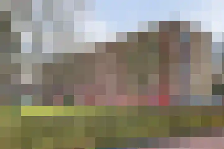 Staringplantsoen 15 C Spijkenisse thumbnail 33