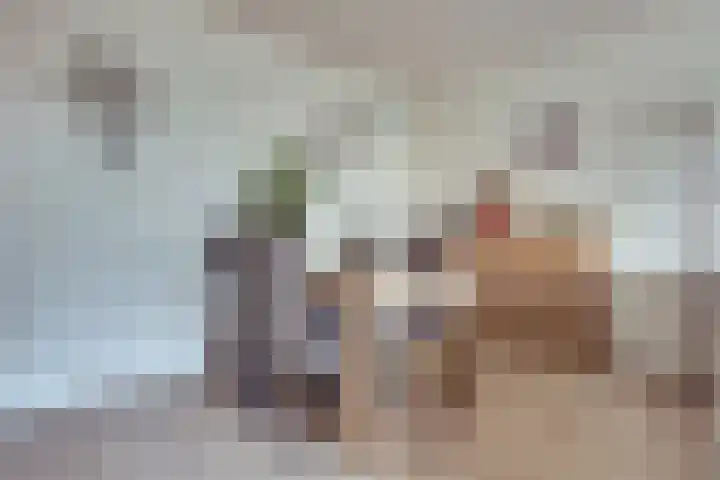 Staringplantsoen 15 C Spijkenisse thumbnail 7