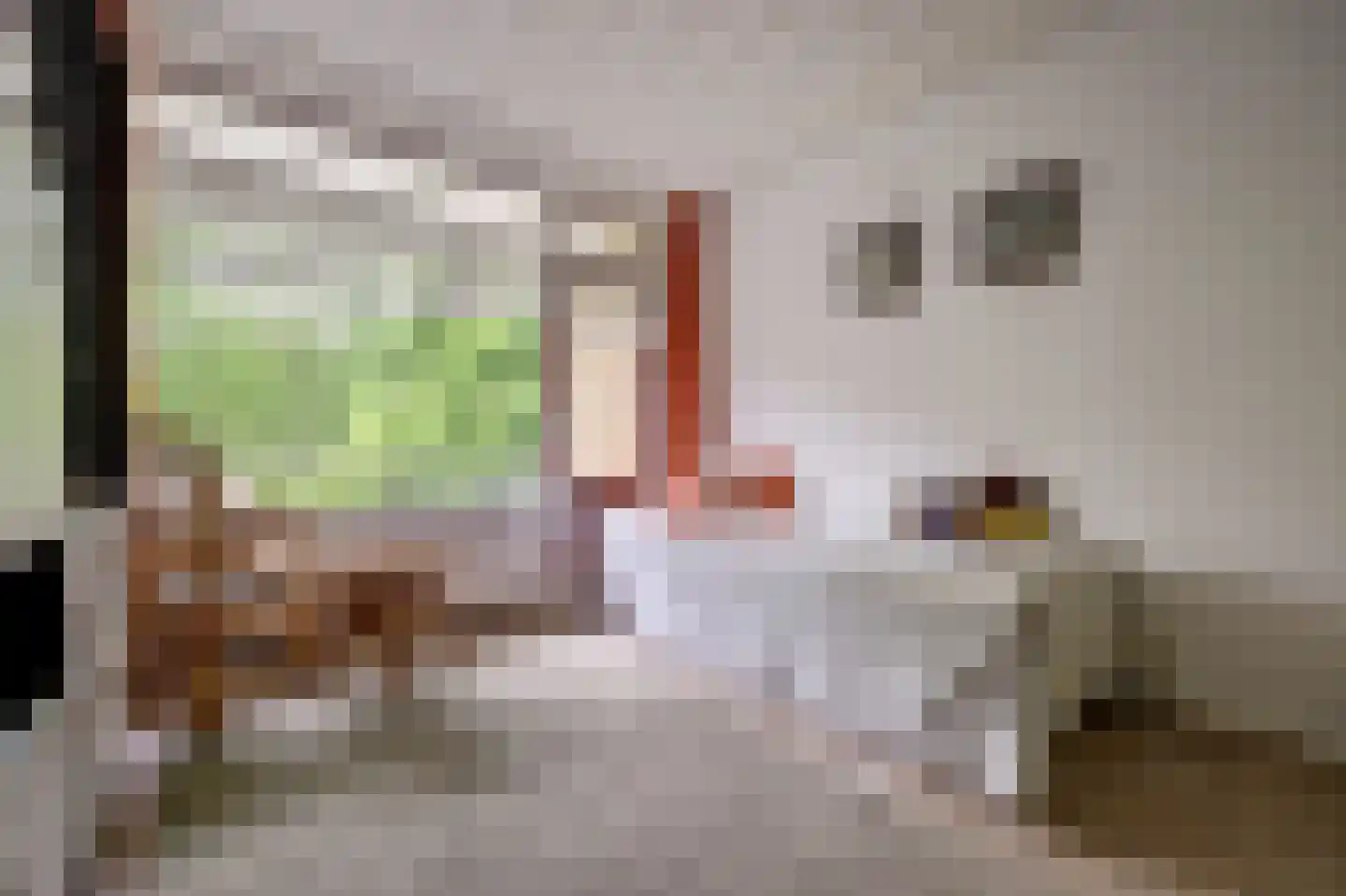 Staringplantsoen 27 C Spijkenisse thumbnail 19