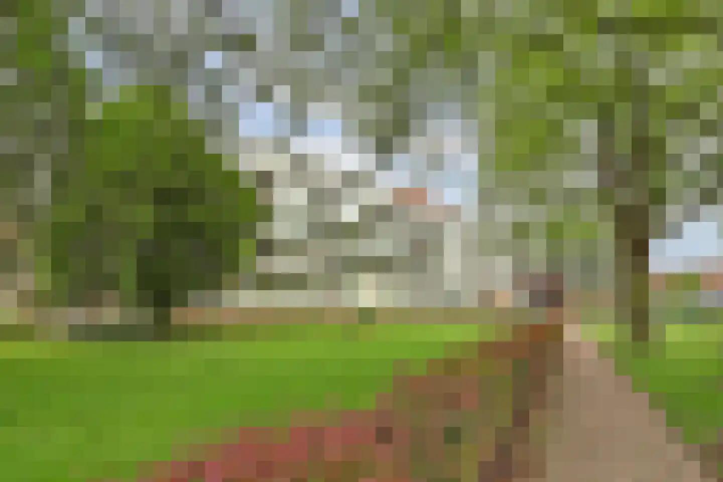 Staringplantsoen 27 C Spijkenisse thumbnail 28