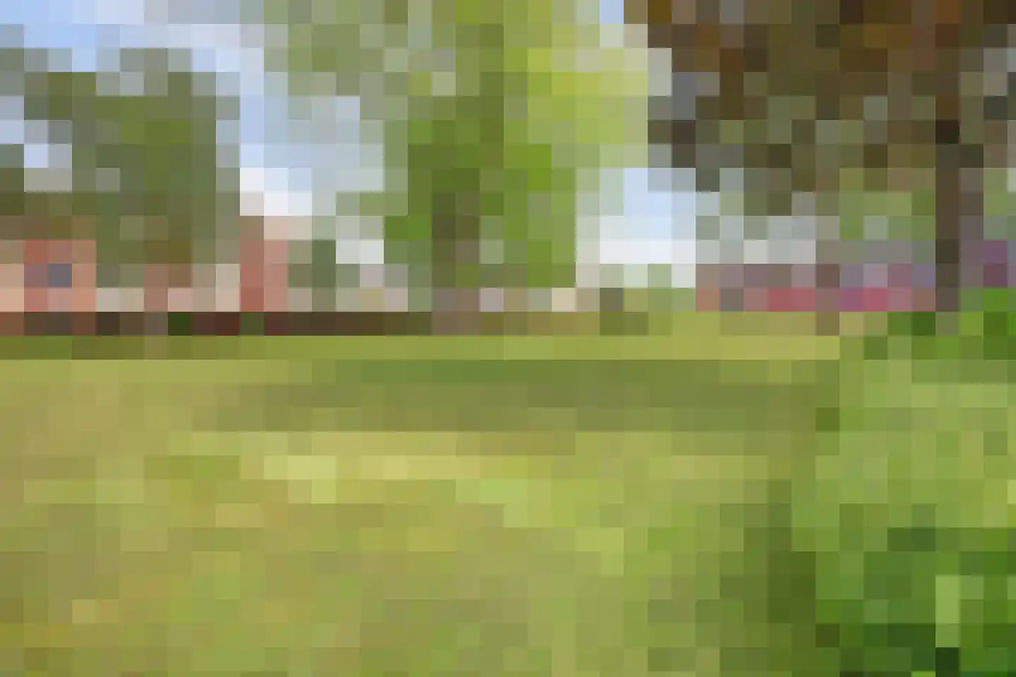 Staringplantsoen 27 C Spijkenisse thumbnail 30