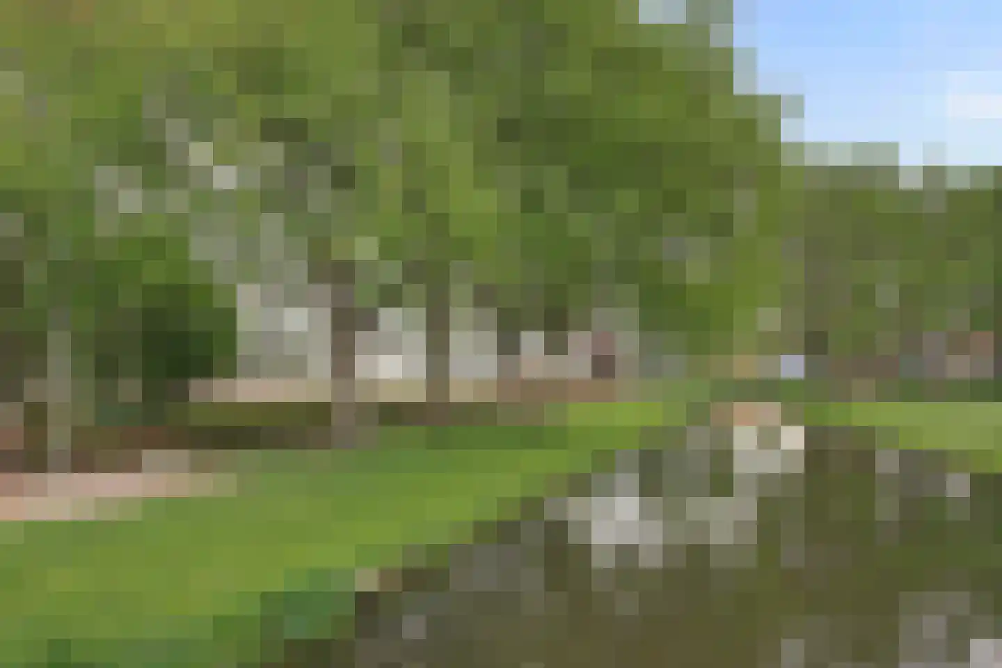 Staringplantsoen 27 C Spijkenisse thumbnail 31