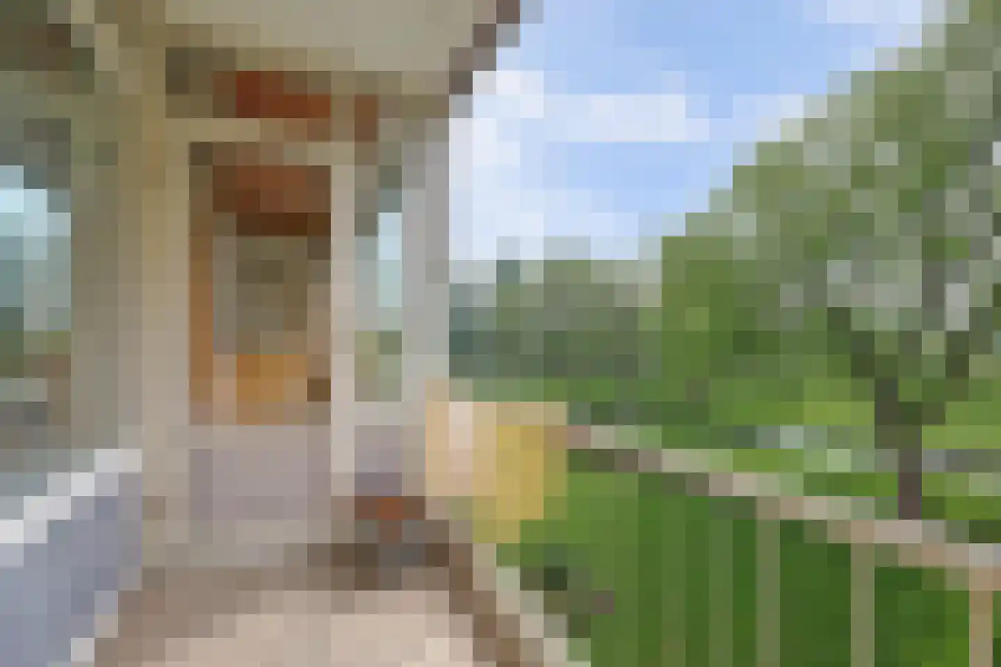 Staringplantsoen 27 C Spijkenisse thumbnail 8