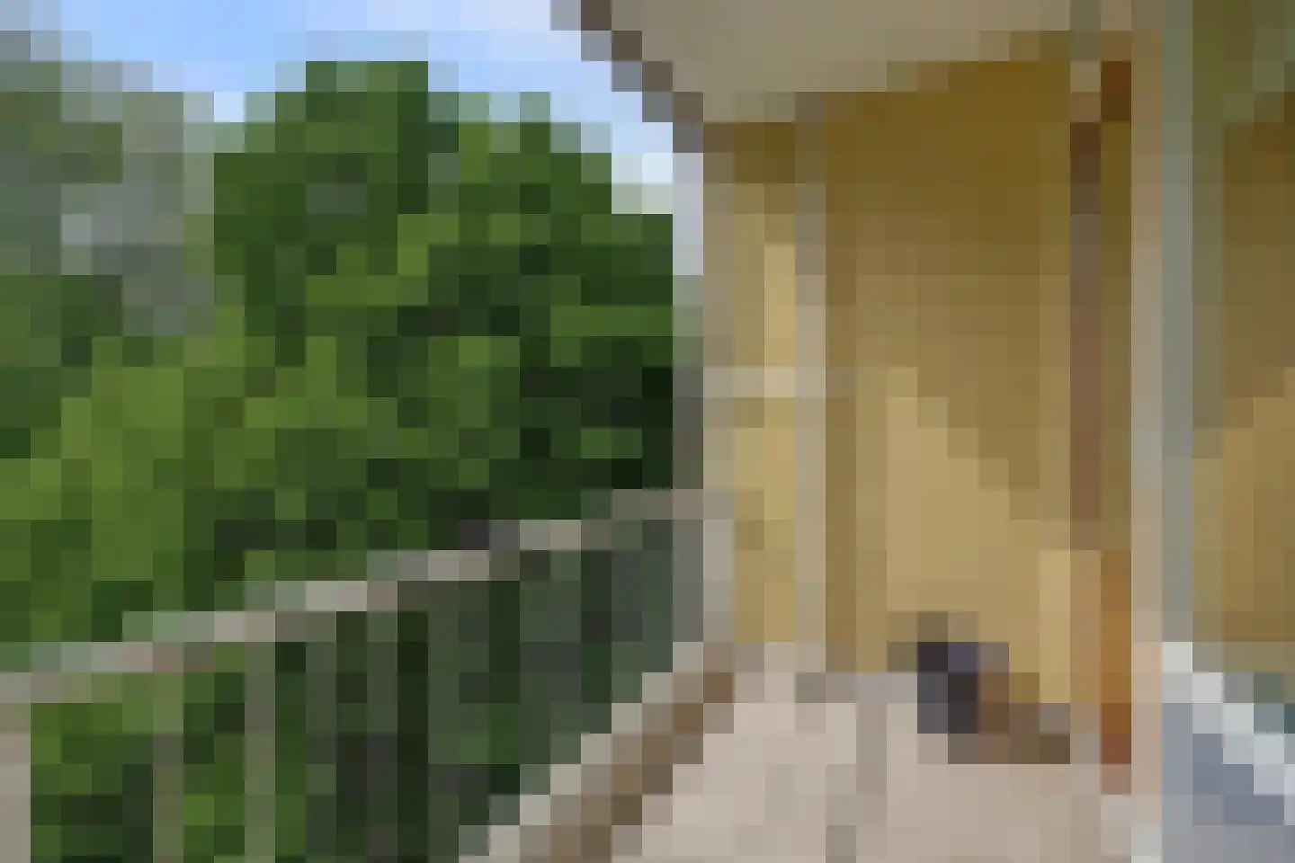 Staringplantsoen 27 C Spijkenisse thumbnail 9