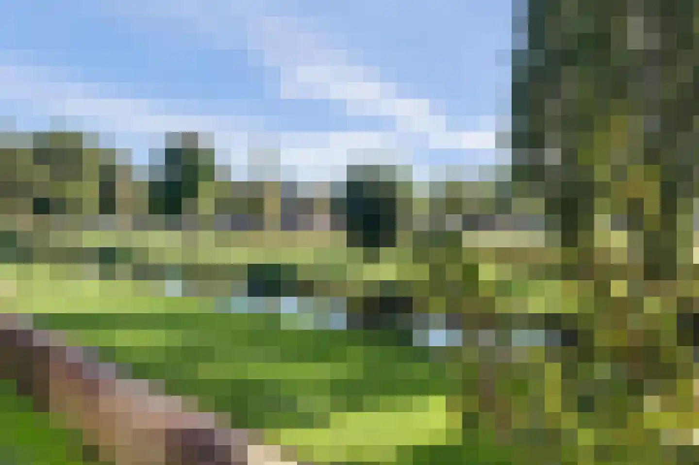 Staringplantsoen 9 A Spijkenisse thumbnail 21
