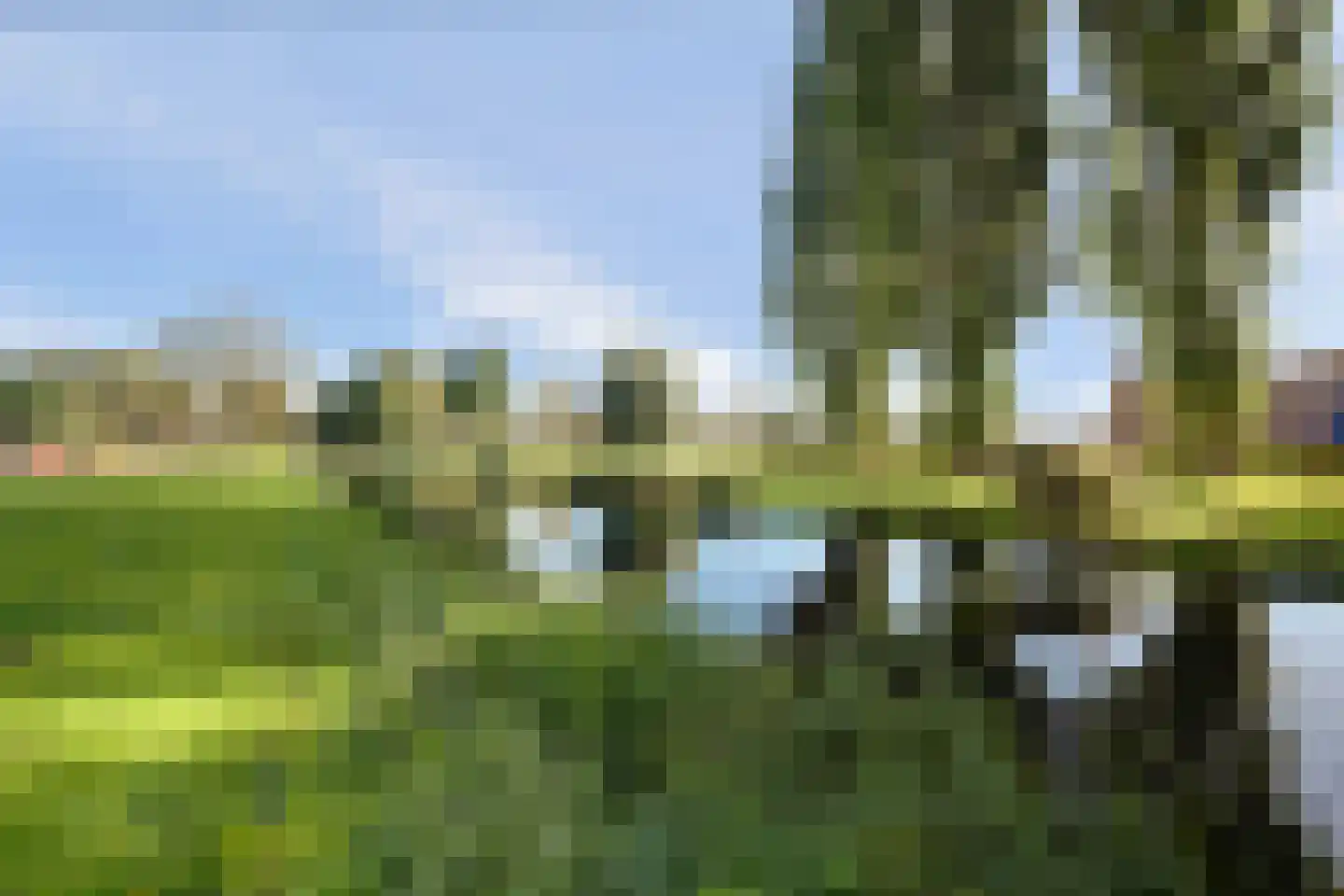 Staringplantsoen 9 A Spijkenisse thumbnail 34