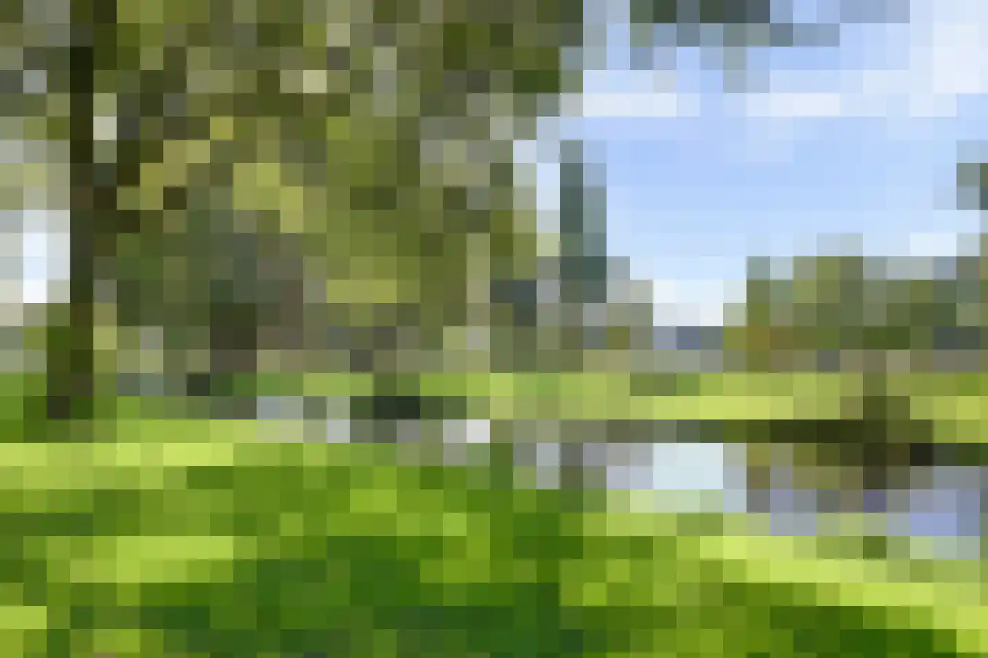 Staringplantsoen 9 A Spijkenisse thumbnail 35