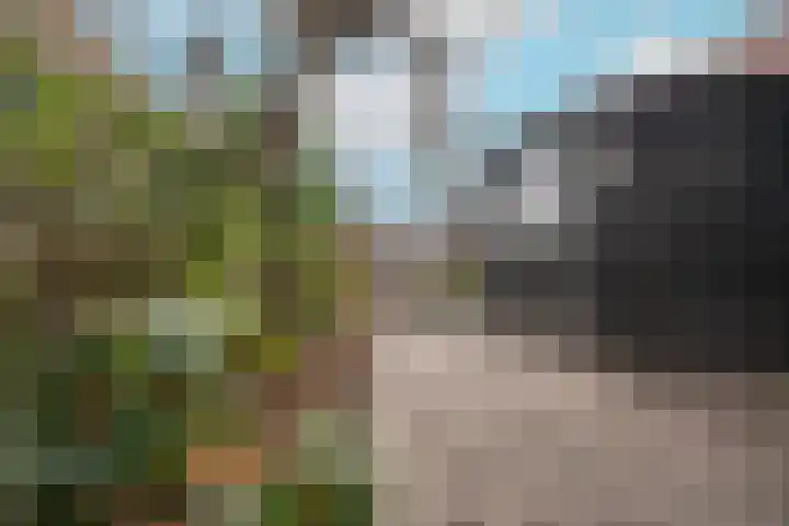 Staringplein 17 Arnhem thumbnail 33