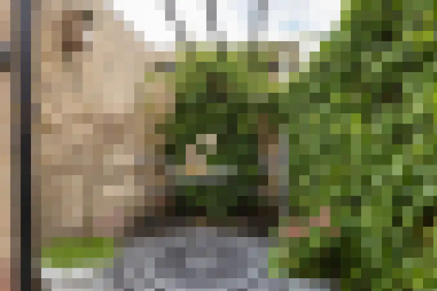 Staringplein 18 Winterswijk thumbnail 32