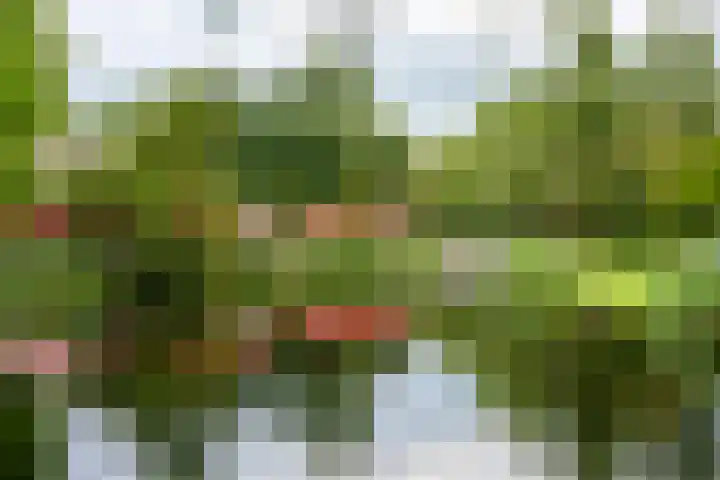 Staringplein 4 H Amsterdam thumbnail 46
