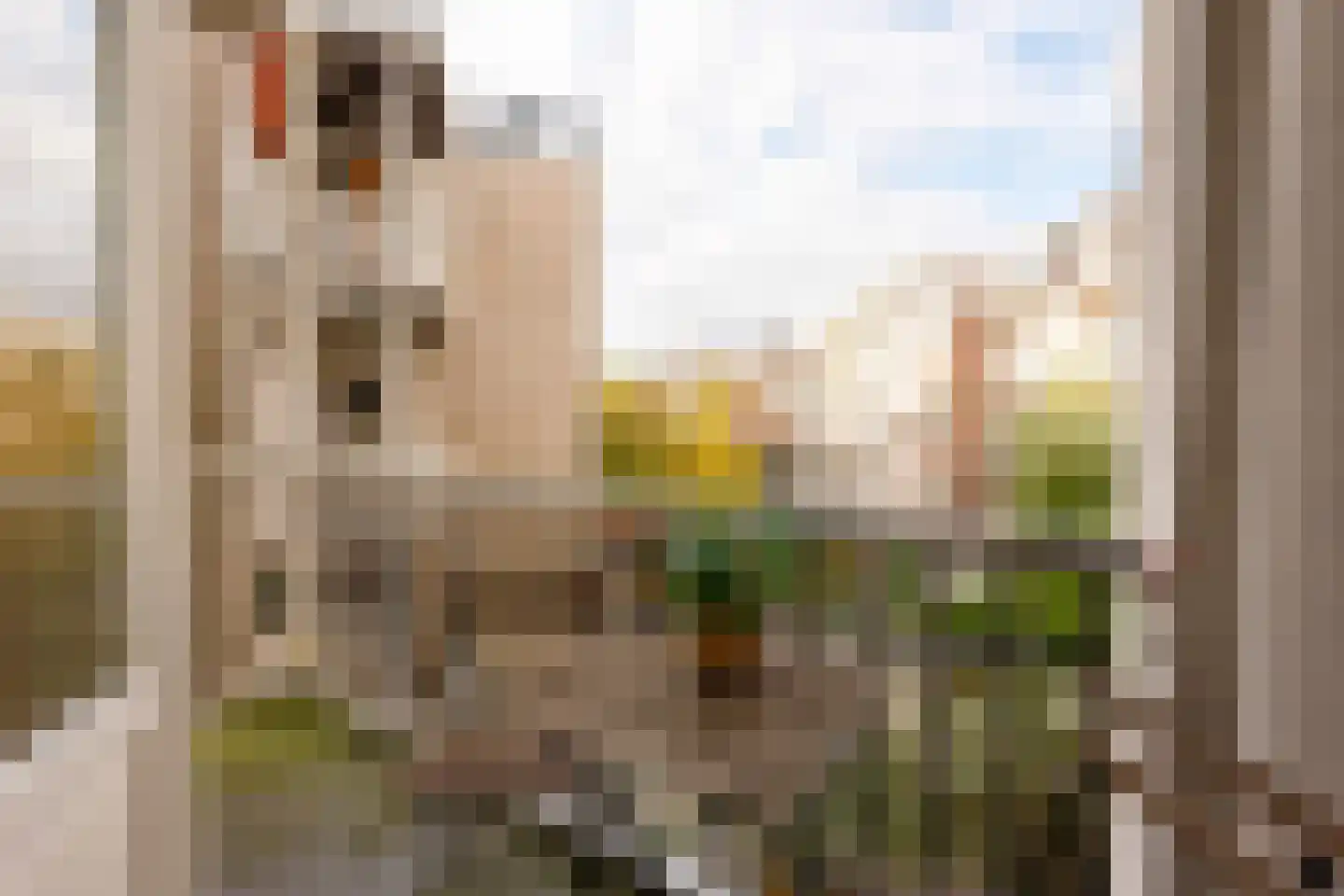 Staringplein 6 1 Amsterdam thumbnail 14