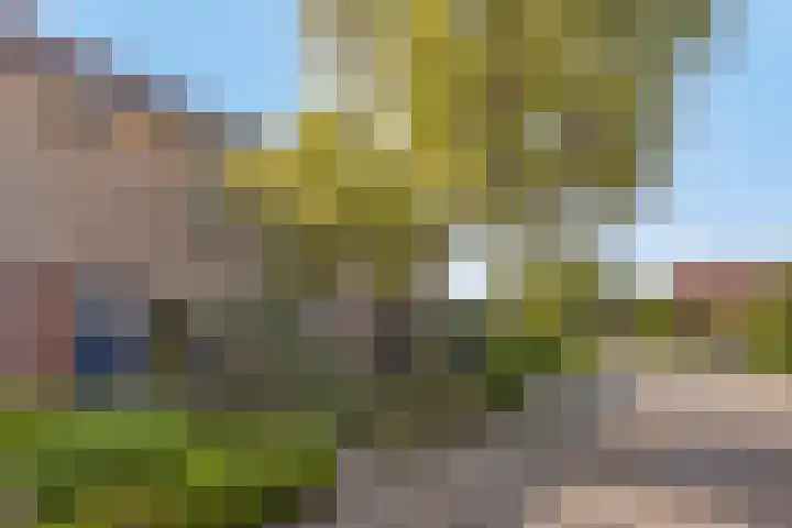 Staringplein 6 Winterswijk thumbnail 31