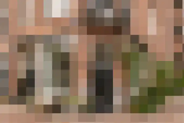 Staringplein 8 H Amsterdam thumbnail 4
