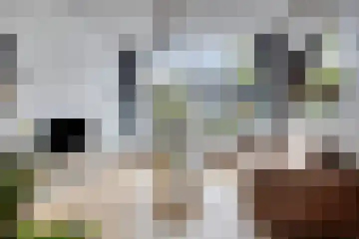 Staringstraat 1 Goor thumbnail 10