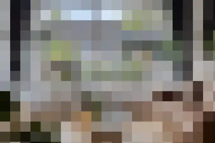 Staringstraat 1 Goor thumbnail 11