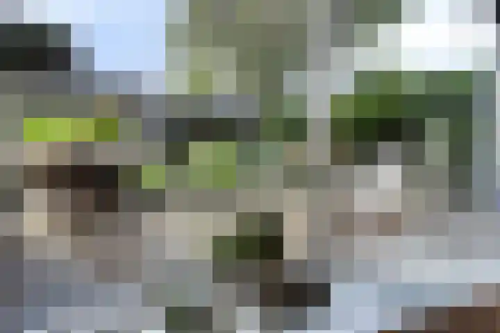 Staringstraat 1 Goor thumbnail 12