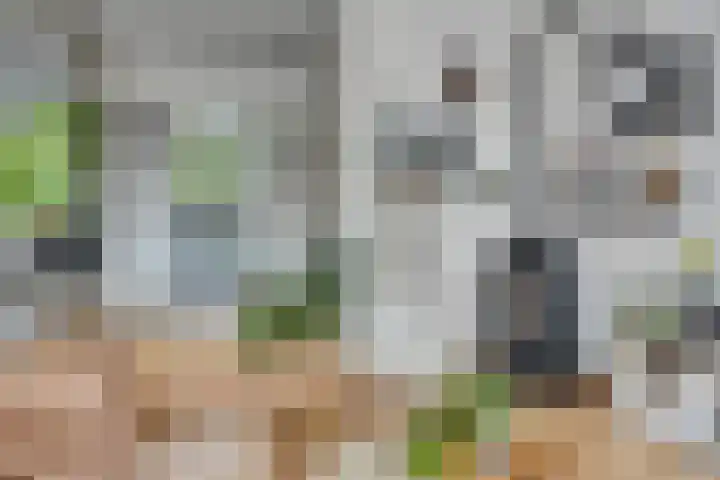 Staringstraat 1 Goor thumbnail 13