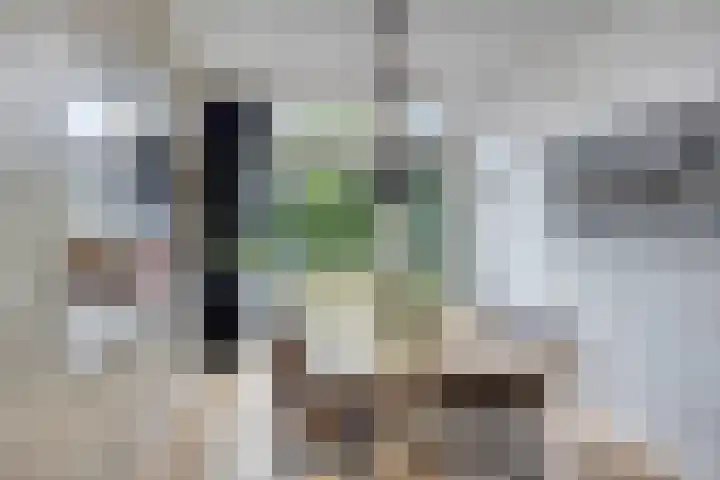 Staringstraat 1 Goor thumbnail 16