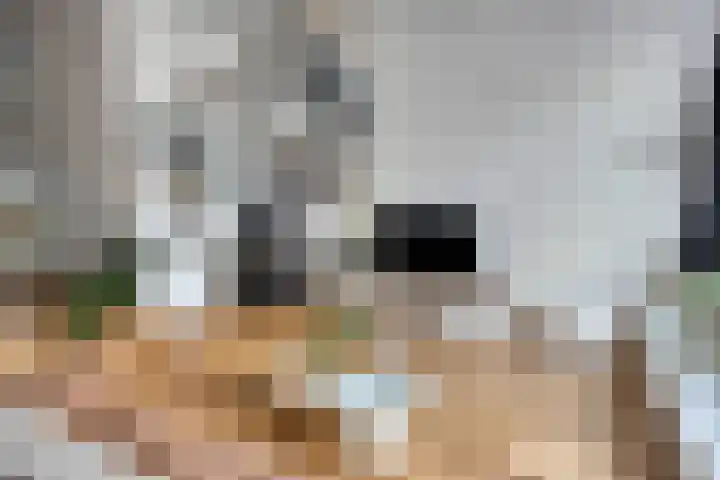Staringstraat 1 Goor thumbnail 18