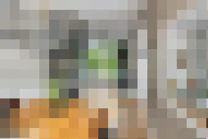 Staringstraat 1 Goor thumbnail 19