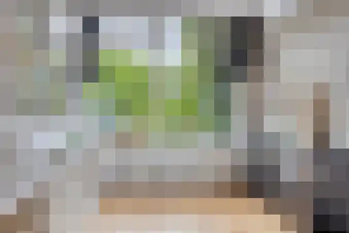 Staringstraat 1 Goor thumbnail 20