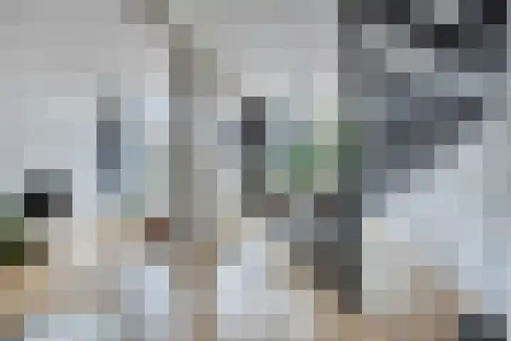 Staringstraat 1 Goor thumbnail 21