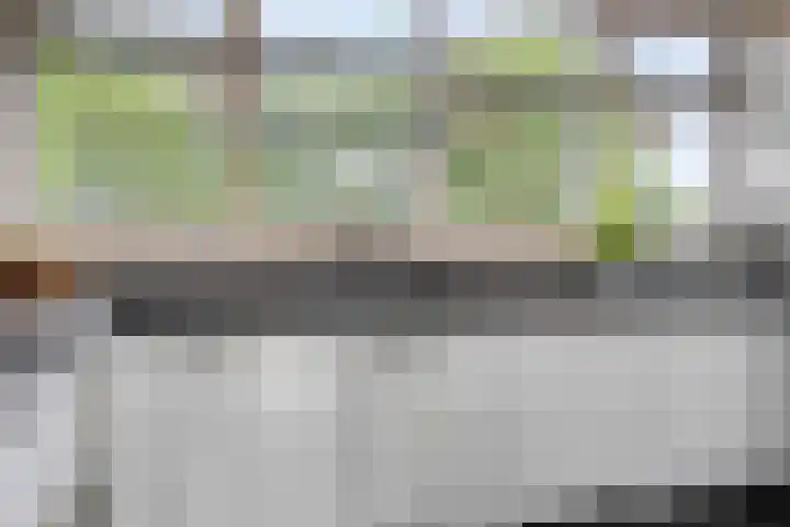 Staringstraat 1 Goor thumbnail 22