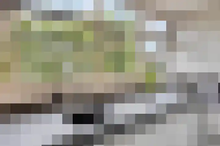 Staringstraat 1 Goor thumbnail 25