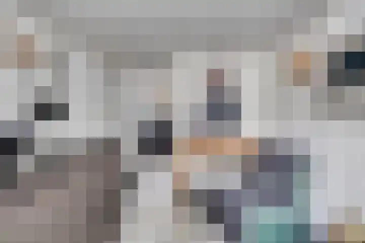 Staringstraat 1 Goor thumbnail 27