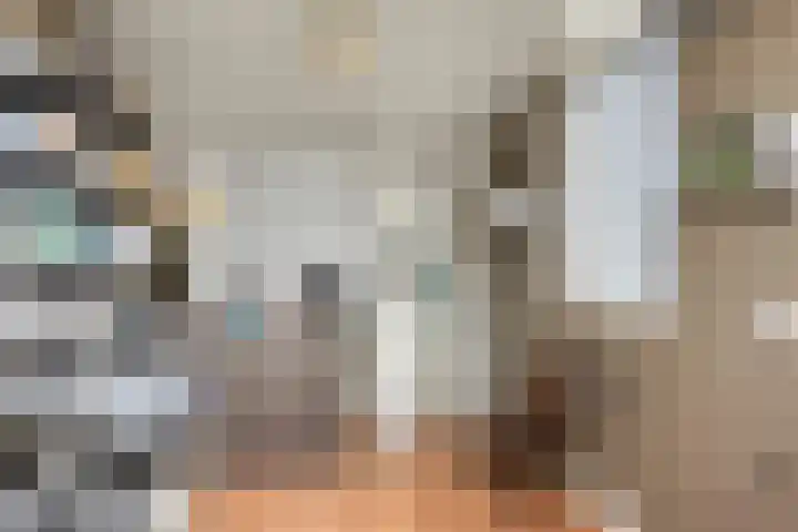 Staringstraat 1 Goor thumbnail 29