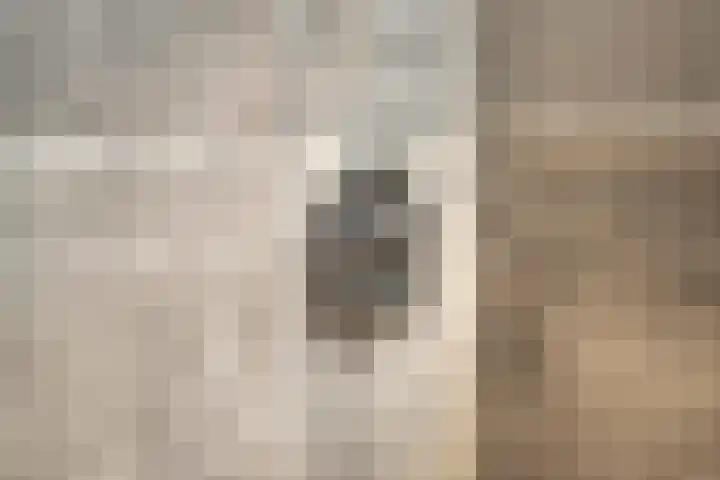 Staringstraat 1 Goor thumbnail 38