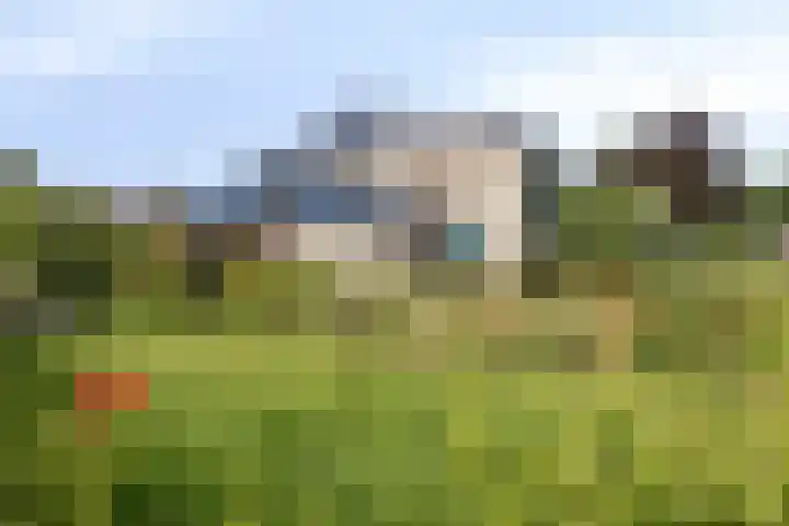 Staringstraat 1 Goor thumbnail 4