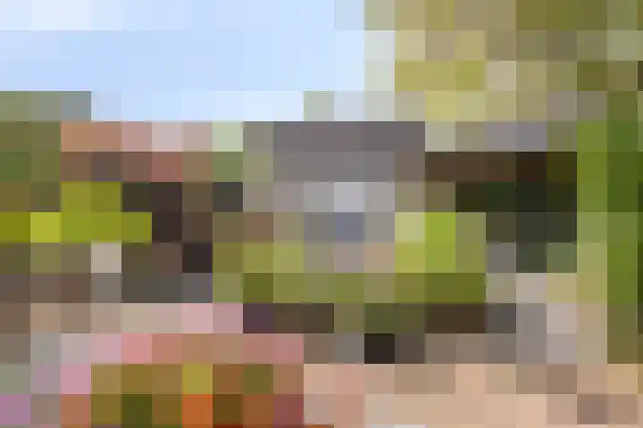 Staringstraat 1 Goor thumbnail 42