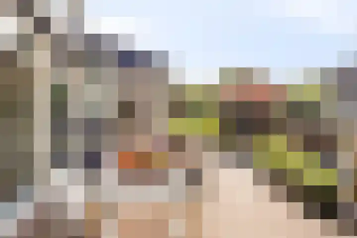 Staringstraat 1 Goor thumbnail 43