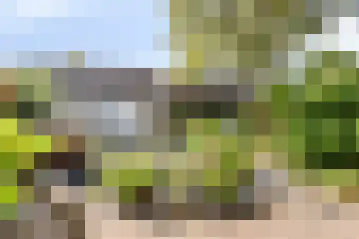 Staringstraat 1 Goor thumbnail 44