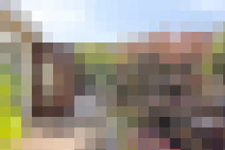 Staringstraat 1 Goor thumbnail 45