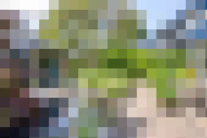Staringstraat 1 Goor thumbnail 47