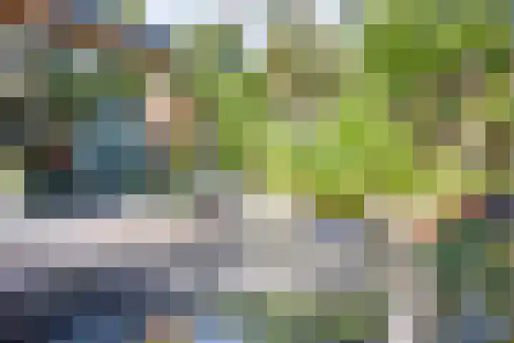 Staringstraat 1 Goor thumbnail 48