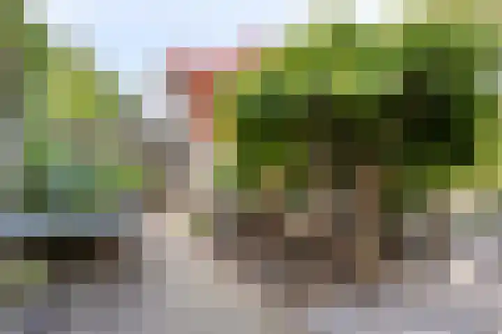 Staringstraat 1 Goor thumbnail 49