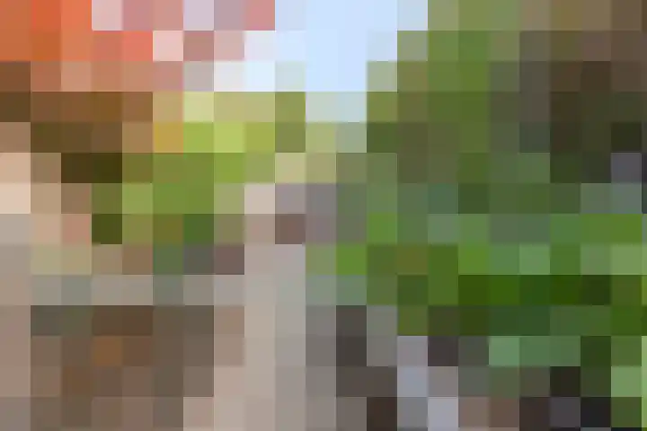 Staringstraat 1 Goor thumbnail 50