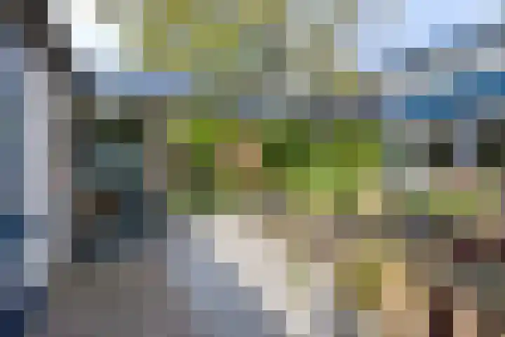 Staringstraat 1 Goor thumbnail 51