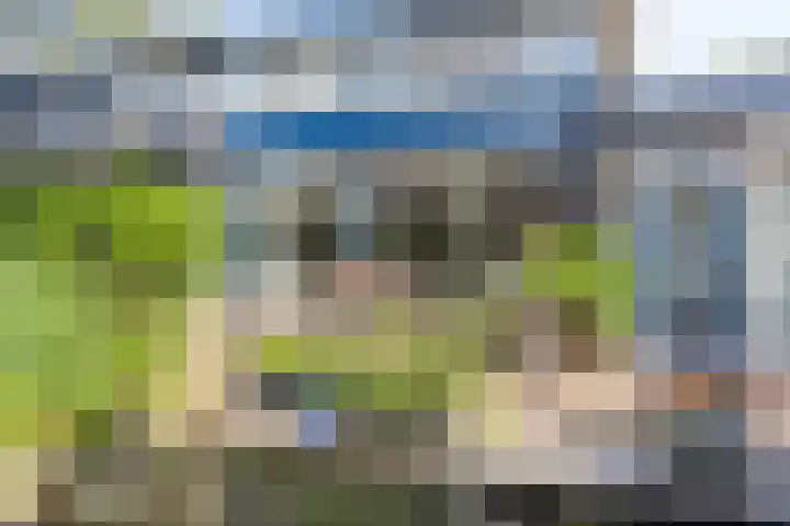 Staringstraat 1 Goor thumbnail 53