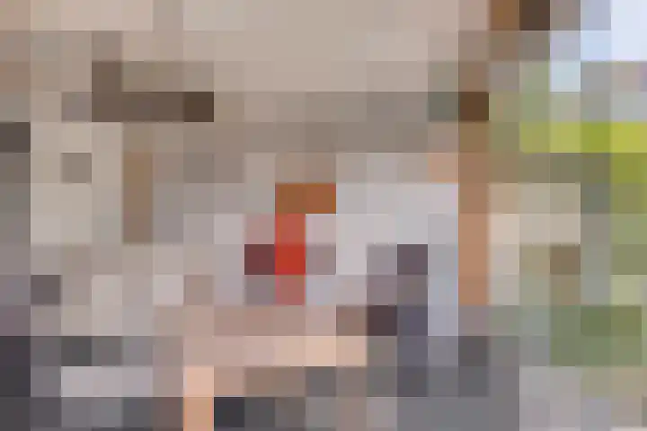 Staringstraat 1 Goor thumbnail 54